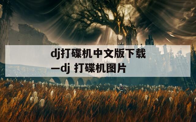 dj打碟机中文版下载—dj 打碟机图片