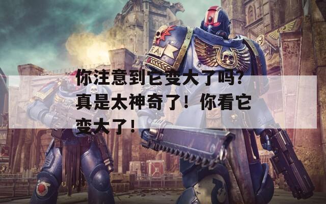 你注意到它变大了吗？真是太神奇了！你看它变大了！