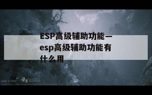 ESP高级辅助功能—esp高级辅助功能有什么用