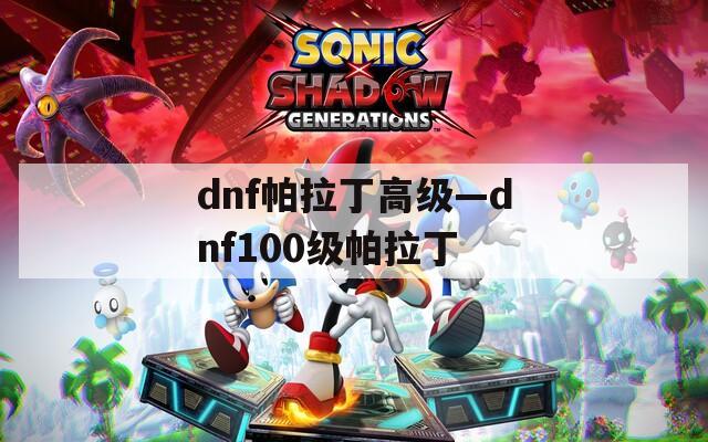 dnf帕拉丁高级—dnf100级帕拉丁