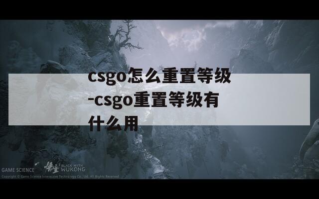 csgo怎么重置等级-csgo重置等级有什么用