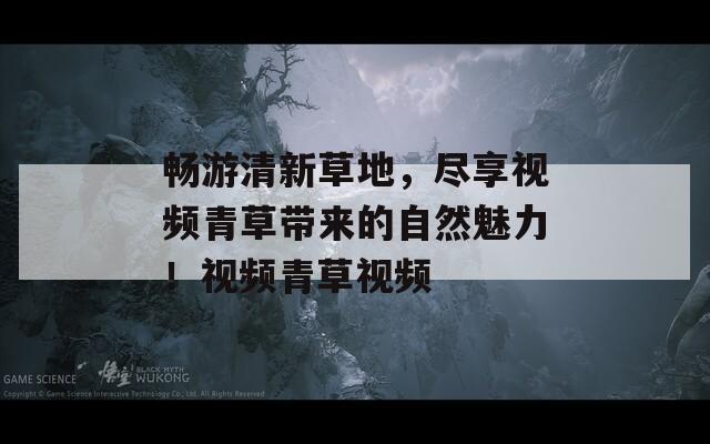 畅游清新草地，尽享视频青草带来的自然魅力！视频青草视频
