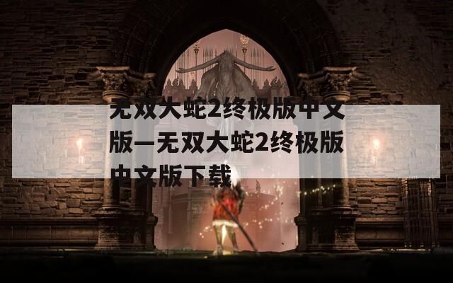 无双大蛇2终极版中文版—无双大蛇2终极版中文版下载
