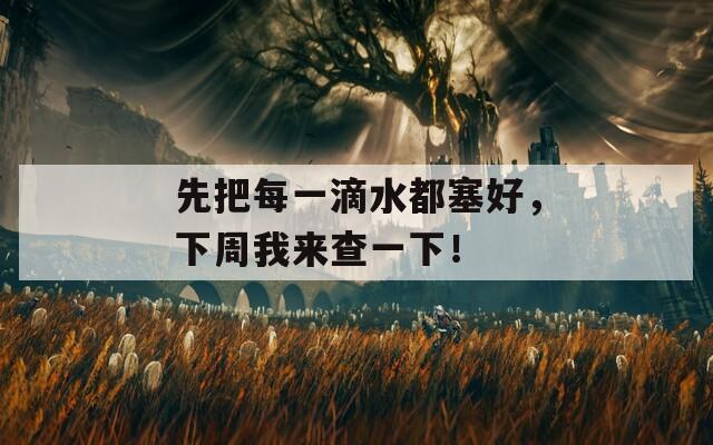 先把每一滴水都塞好，下周我来查一下！