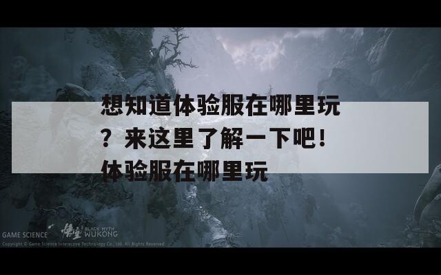 想知道体验服在哪里玩？来这里了解一下吧！体验服在哪里玩