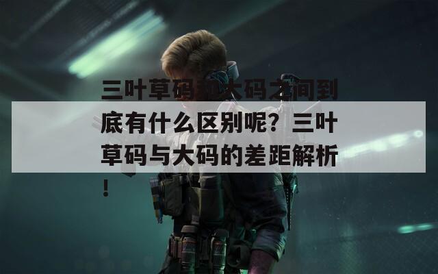 三叶草码和大码之间到底有什么区别呢？三叶草码与大码的差距解析！