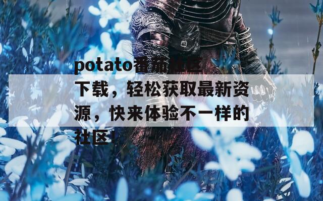 potato番茄社区下载，轻松获取最新资源，快来体验不一样的社区！