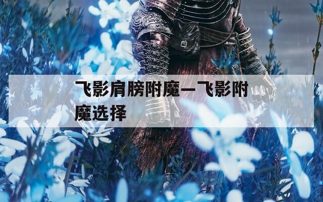 飞影肩膀附魔—飞影附魔选择