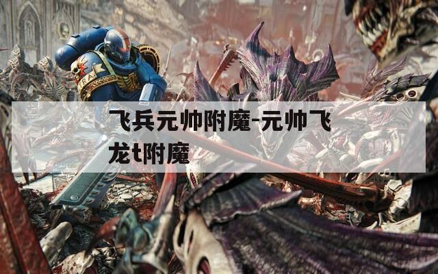 飞兵元帅附魔-元帅飞龙t附魔