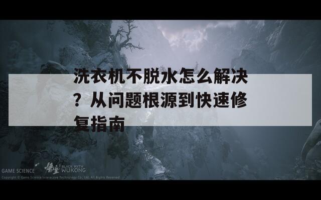 洗衣机不脱水怎么解决？从问题根源到快速修复指南