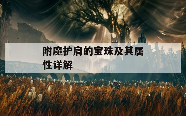 附魔护肩的宝珠及其属性详解