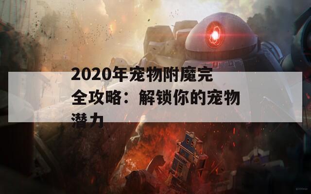2020年宠物附魔完全攻略：解锁你的宠物潜力