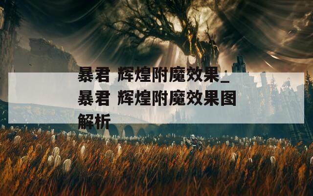暴君 辉煌附魔效果_暴君 辉煌附魔效果图解析