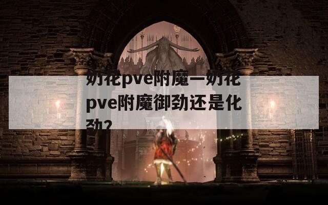 奶花pve附魔—奶花pve附魔御劲还是化劲？