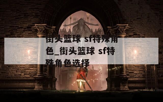 街头篮球 sf特殊角色_街头篮球 sf特殊角色选择